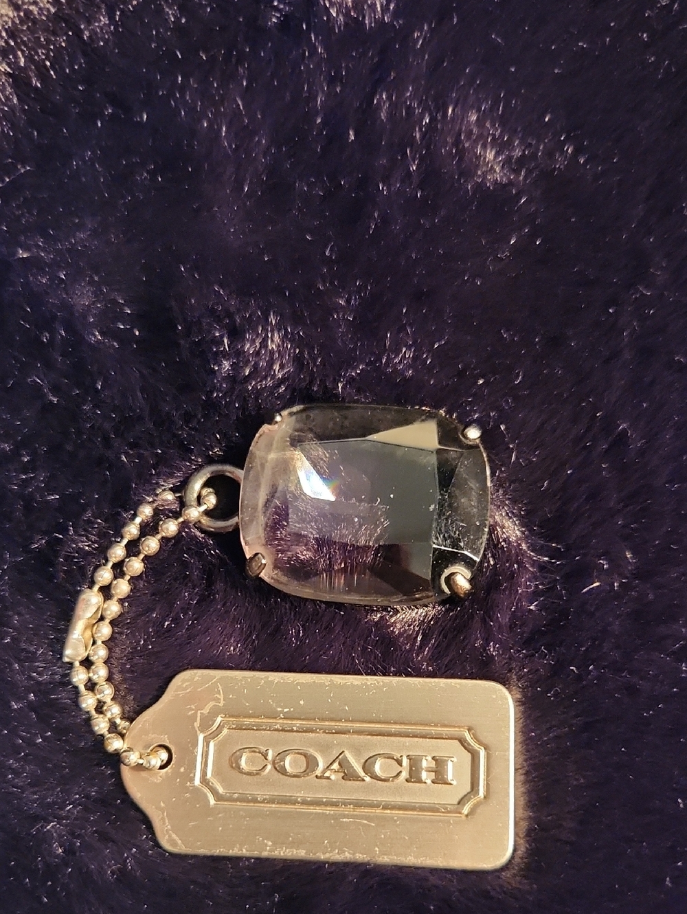 Coach RARE Metal And Smokey Lucite Jewel Hang Tag